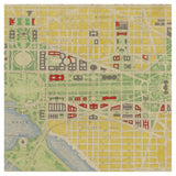 Historic Map of Washington Silk Scarf